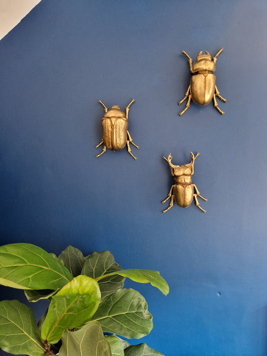Gold Wall Beetles: Resin Wall Decor - Stag Beetle - Female Stag & Scarab Beetle Art for Home Decor