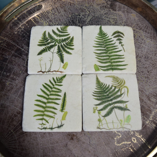 Nature-Inspired Fern Coasters: Set of 4 High Quality Table Protectors - Plant Lover Gift Housewarming Nature Decor - Home Office Desk Decor